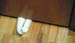 Cat Paws