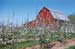 BarnRed