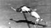 Baseball Catcher B&W