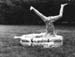 Girl Pool B&W