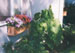 Flower Box