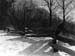 Fence Snow B&W