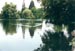 Lake Duck