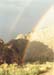 Rainbow Double